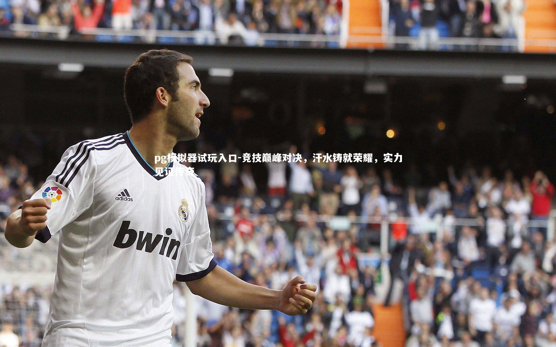 pg模拟器试玩入口-竞技巅峰对决，汗水铸就荣耀，实力见证传奇